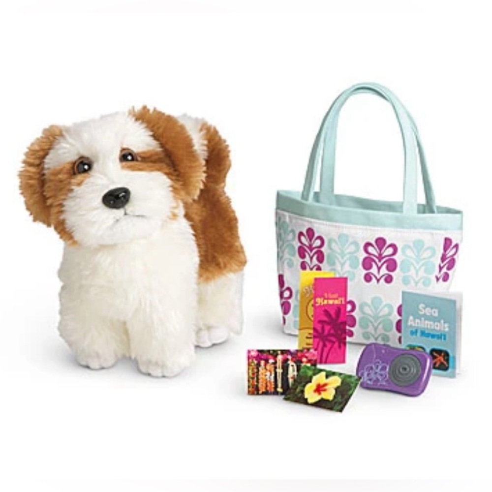 American Girl - Kanani’s Accessories